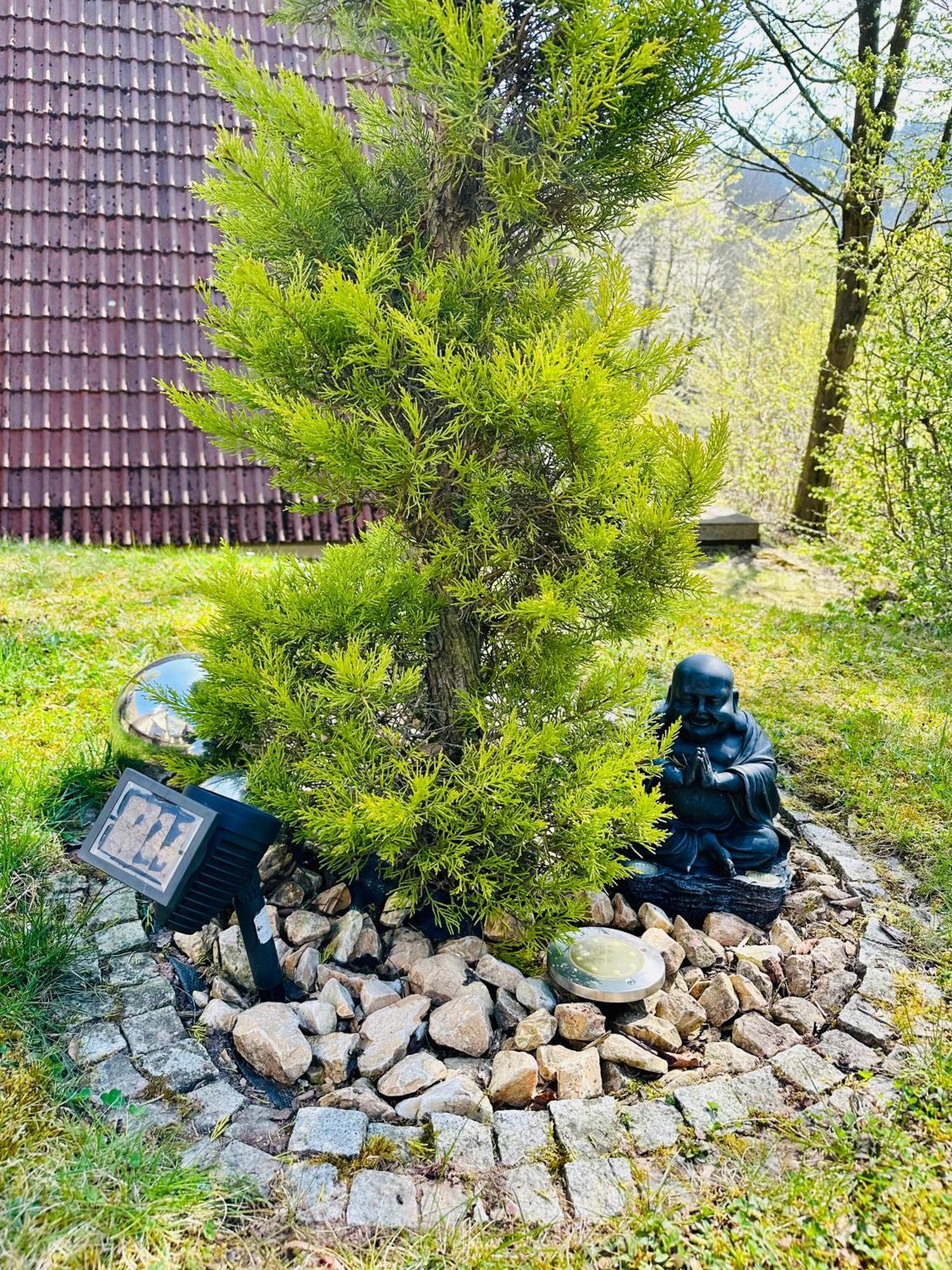 Natur Pur - Waldurlaub Im Tiny House Ronshausen المظهر الخارجي الصورة