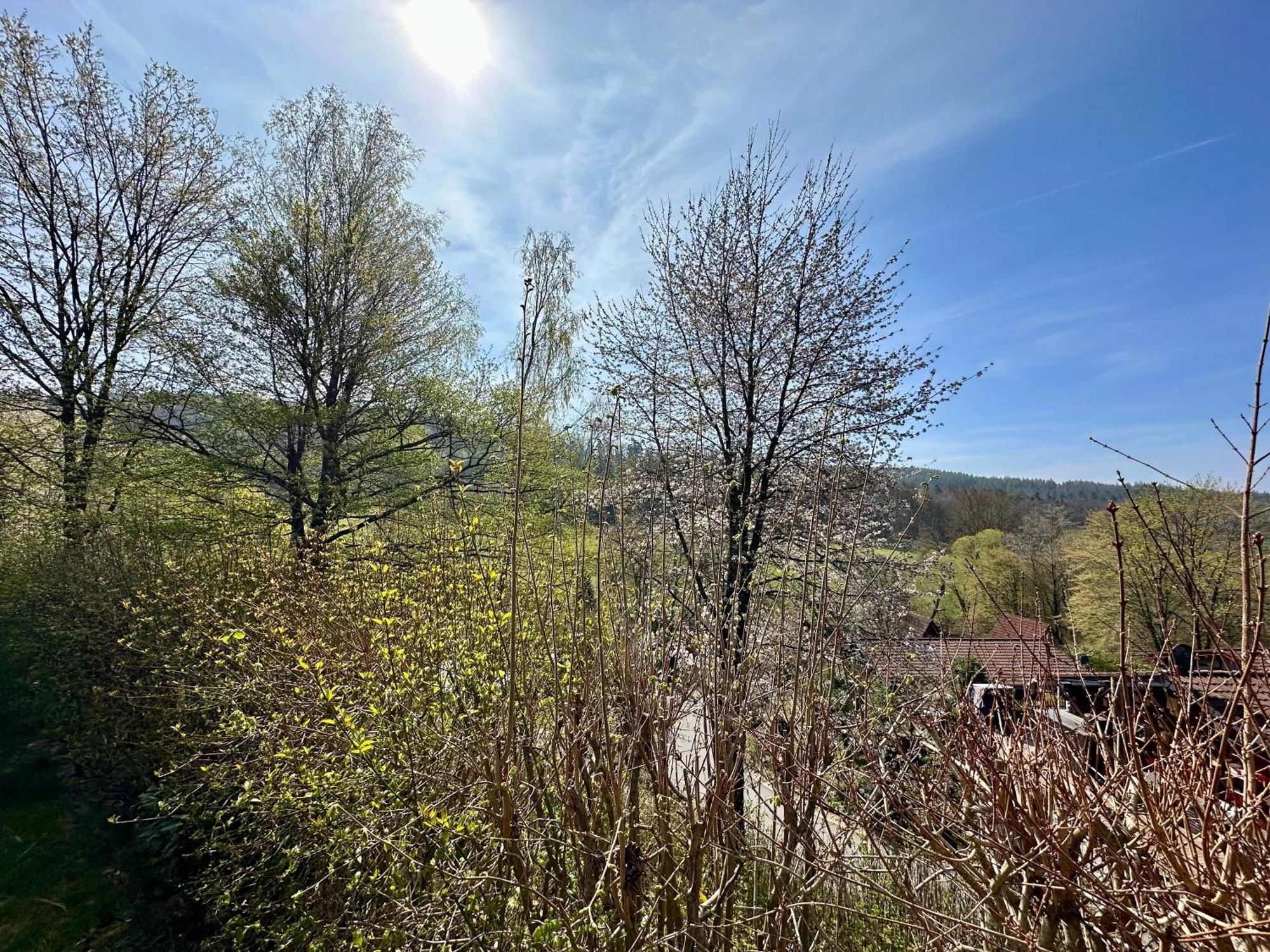Natur Pur - Waldurlaub Im Tiny House Ronshausen المظهر الخارجي الصورة
